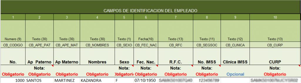 Ejemplo de estructura del formato para el proceso completo de Alta: Datos de identificación del empleado.