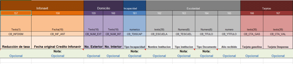 Ejemplo de estructura del formato para el proceso completo de Alta: Datos adicionales del empleado, infonavit, domicilio, incapacidad, escolaridad, tarjetas.