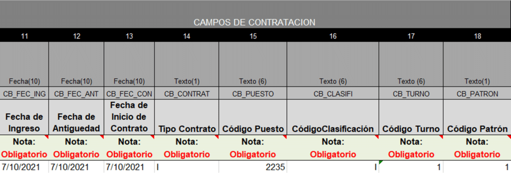 Ejemplo de estructura del formato para el proceso completo de Alta: Datos de contratación.