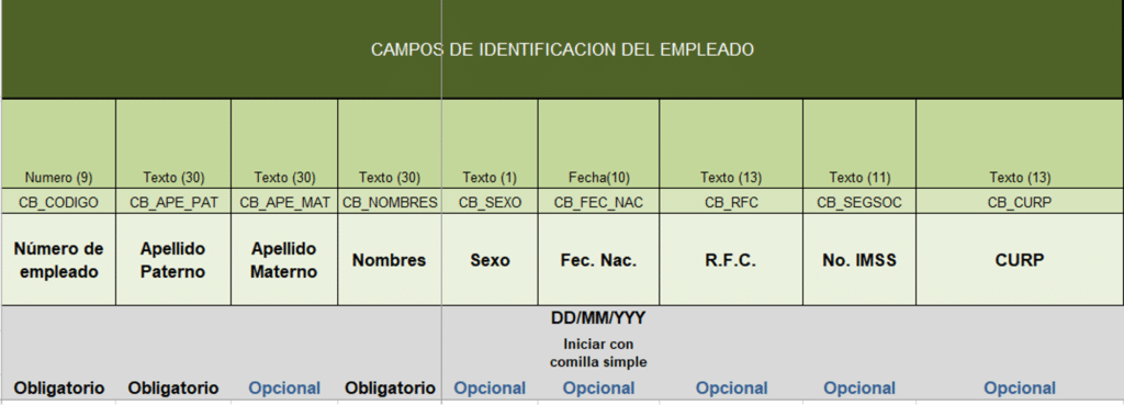 Ejemplo de estructura del formato para el proceso simplificado de Alta: Datos de identificación del empleado.