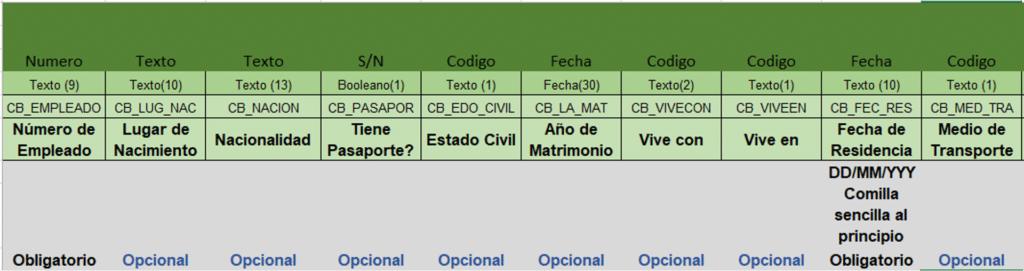 Ejemplo de estructura del formato para el proceso simplificado de Alta: Datos personales, primera parte.