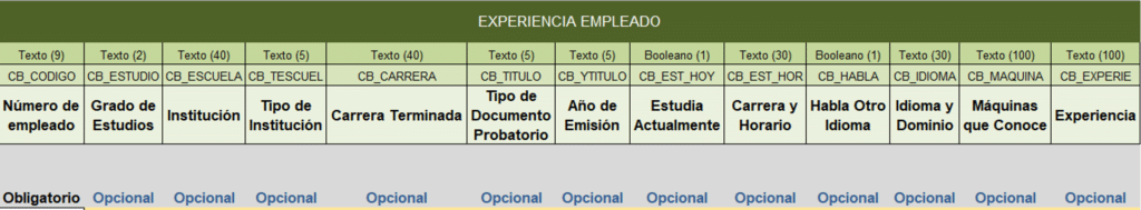 Ejemplo de estructura del formato para el proceso simplificado de Alta: Datos de experiencia.