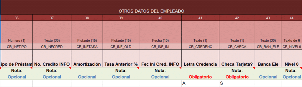 Ejemplo de estructura del formato para el proceso completo de Alta: Otros datos del empleado.